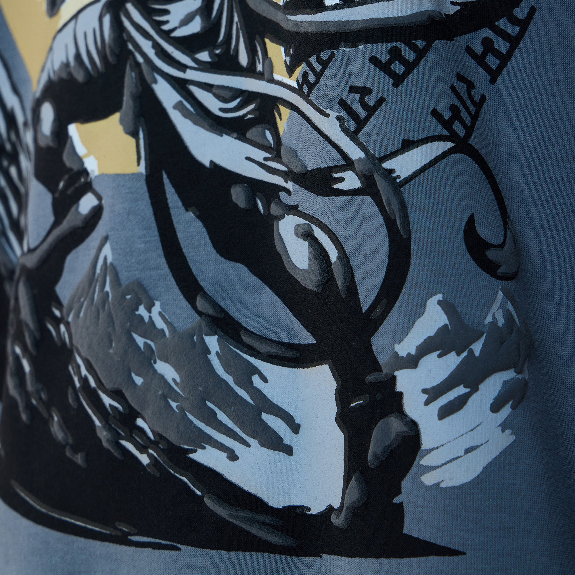 KING OF THE WIND HOODIE